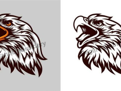 WhatsApp Image 2026-02-19 at 1.34.49 PM (2)