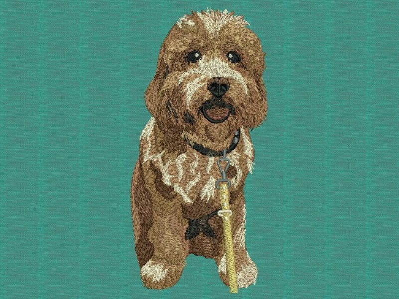 WhatsApp Image 2026-02-20 at 2.47.51 PM (1)